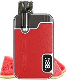 Glace à la pastèque